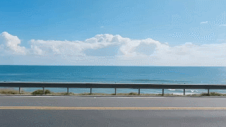 09.gif 09.gif